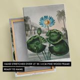 The Blue Egyptian Water-Lily by Robert John Thornton canvas print, front and back view