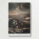 Snowdrops from The Temple of Flora by Robert John Thornton canvas print, front view