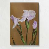 Purple Japanese Iris by Ogawa Kazumasa canvas print, front view