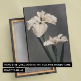 White Japanese Iris by Ogawa Kazumasa canvas print, front and back view