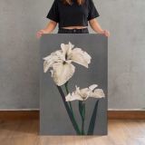 White Japanese Iris by Ogawa Kazumasa canvas print, held for scale