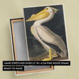 American White Pelican by John James Audubon canvas print, front and back view