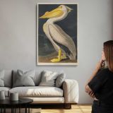 American White Pelican by John James Audubon canvas print, room display