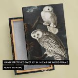 Snowy Owls from Birds of America by John James Audubon canvas print, front and back view