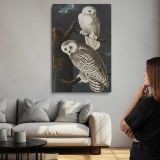 Snowy Owls from Birds of America by John James Audubon canvas print, room display
