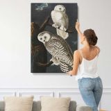 Snowy Owls from Birds of America by John James Audubon canvas print, displayed on a wall