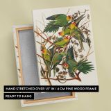 Carolina Parrots by John James Audubon canvas print, front and back view