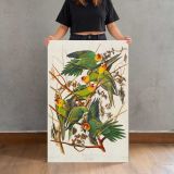 Carolina Parrots by John James Audubon canvas print, held for scale