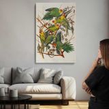 Carolina Parrots by John James Audubon canvas print, room display
