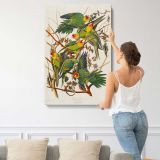 Carolina Parrots by John James Audubon canvas print, displayed on a wall