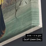 Black-Bellied Darter by John James Audubon canvas print, canvas edge detail