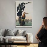 Black-Bellied Darter by John James Audubon canvas print, room display