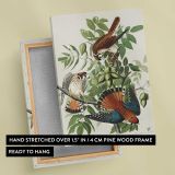 American Sparrow Hawks by John James Audubon canvas print, front and back view