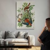 American Sparrow Hawks by John James Audubon canvas print, room display
