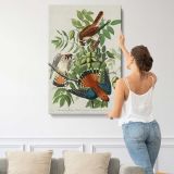 American Sparrow Hawks by John James Audubon canvas print, displayed on a wall