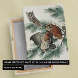 Little Screech Owls by John James Audubon canvas print, front and back view