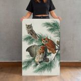 Little Screech Owls by John James Audubon canvas print, held for scale