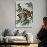 Little Screech Owls by John James Audubon canvas print, room display