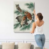 Little Screech Owls by John James Audubon canvas print, displayed on a wall
