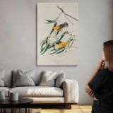 Prothonotary Warblers by John James Audubon canvas print, room display