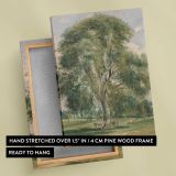 Large Tree in a Summer Landscape with a Horse canvas print, front and back view