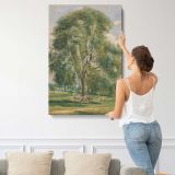 Large Tree in a Summer Landscape with a Horse canvas print, displayed on a wall