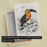 Toucan on a Branch canvas print, front and back view