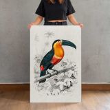 Toucan on a Branch canvas print, held for scale
