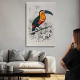 Toucan on a Branch canvas print, room display