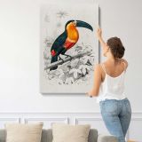 Toucan on a Branch canvas print, displayed on a wall