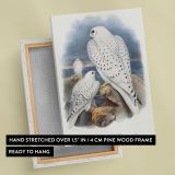 Greenland Falcons canvas print, front and back view