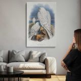 Greenland Falcons canvas print, room display