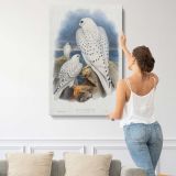 Greenland Falcons canvas print, displayed on a wall