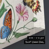 Butterfly and Moth Collection canvas print, canvas edge detail
