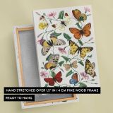 Butterfly and Moth Collection canvas print, front and back view