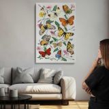 Butterfly and Moth Collection canvas print, room display