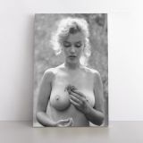Marilyn Monroe USA Model Naked Canvas Wall Artwork Hangings - Image 2