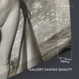 Marilyn Monroe Naked Canvas USA Model Wall Artwork Hangings - Image 8