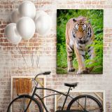 Tiger Canvas Wild Animals Photography Canvas Wall Art - Image 8