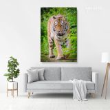 Tiger Canvas Wild Animals Photography Canvas Wall Art