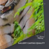 Tiger Canvas Wild Animals Photography Canvas Wall Art - Image 7