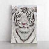White Tiger Canvas Wild Animals Photography Canvas Wall Art - Image 2