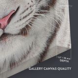 White Tiger Canvas Wild Animals Photography Canvas Wall Art - Image 6