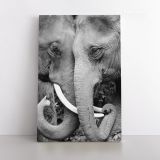 Animals wall art Elephant Baby Posters Print Framed - Roll Canvas Wall Art - Image 2