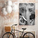 Animals wall art Elephant Baby Posters Print Framed - Roll Canvas Wall Art - Image 7