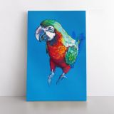 Bird Psittacidae Aratinga Parrot Original Pastel Painting Posters Print Canvas with Frame - Image 2