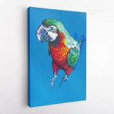 Bird Psittacidae Aratinga Parrot Original Pastel Painting Posters Print Canvas with Frame - Image 4