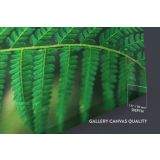 Canvas for, Tropical Leaves, , Green Leaves, Wall Art, Tropical Canvas Wall Art - Image 6