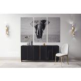 Black and White Elephants Photography Canvas Wall Art - Image 3