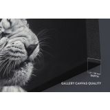 Tiger Large Black and White Photography Canvas Wall Art - Image 6